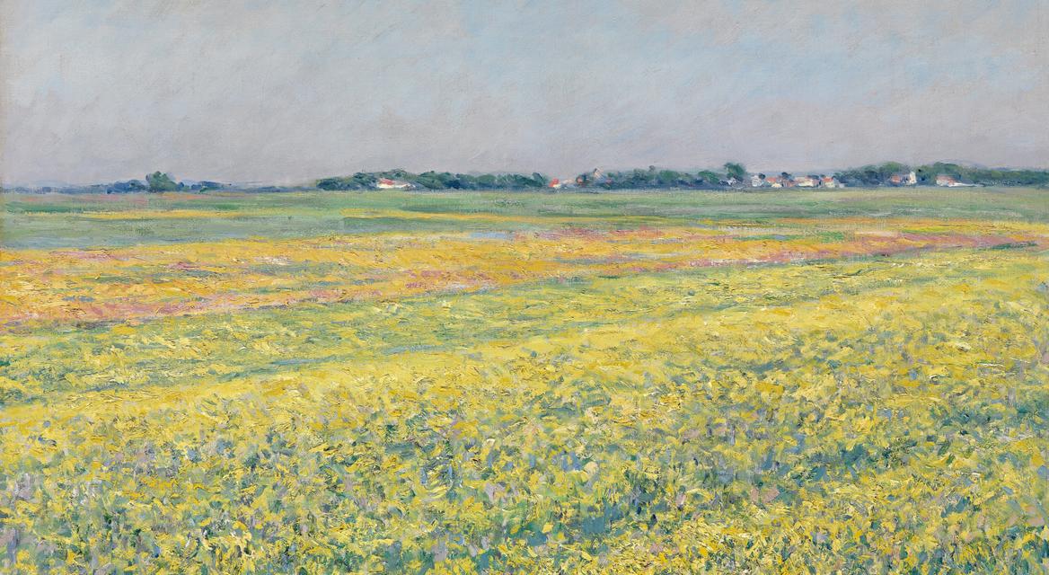 Gustave's peaceful field of flowers.